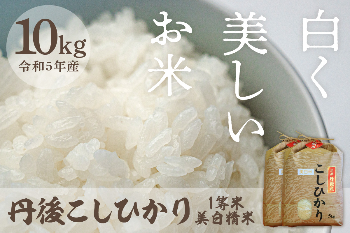 新米令和5年産　コシヒカリ　米　送料無料　約27kg-　京都　一等検査　白米　丹後