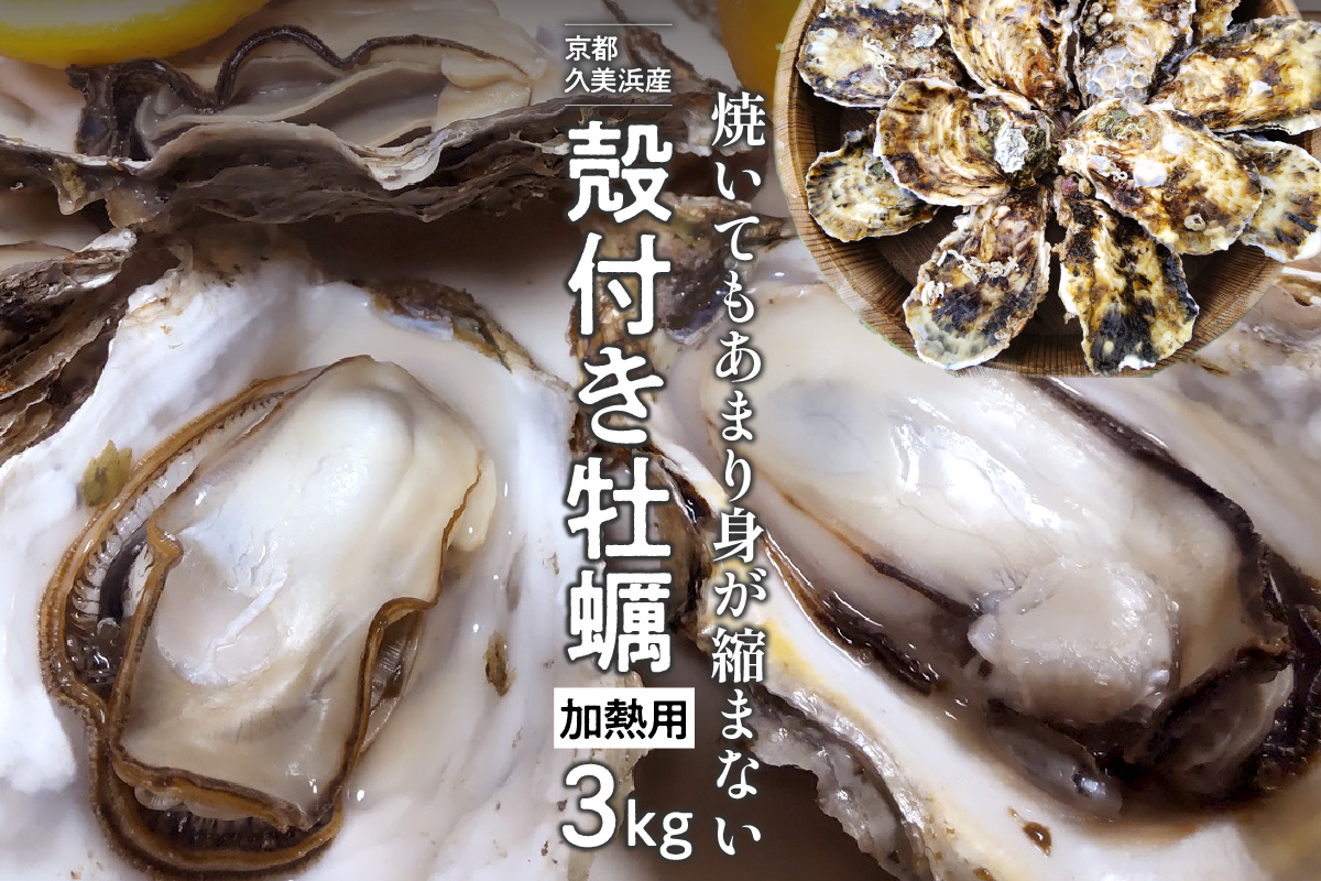 京都・久美浜産　殻付き牡蠣　3kg（30個前後）【加熱用】牡蠣ナイフ付