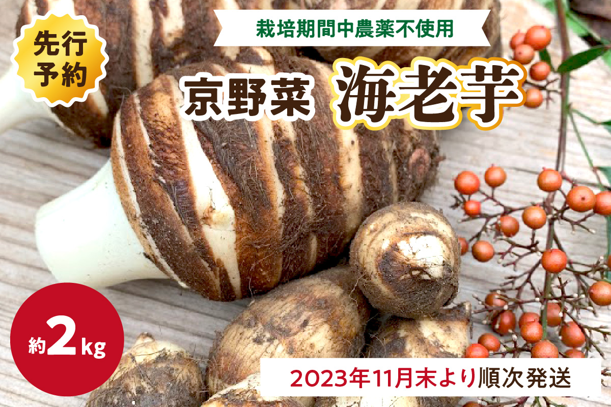 【先行予約】京野菜　海老芋  2K　栽培期間中農薬不使用