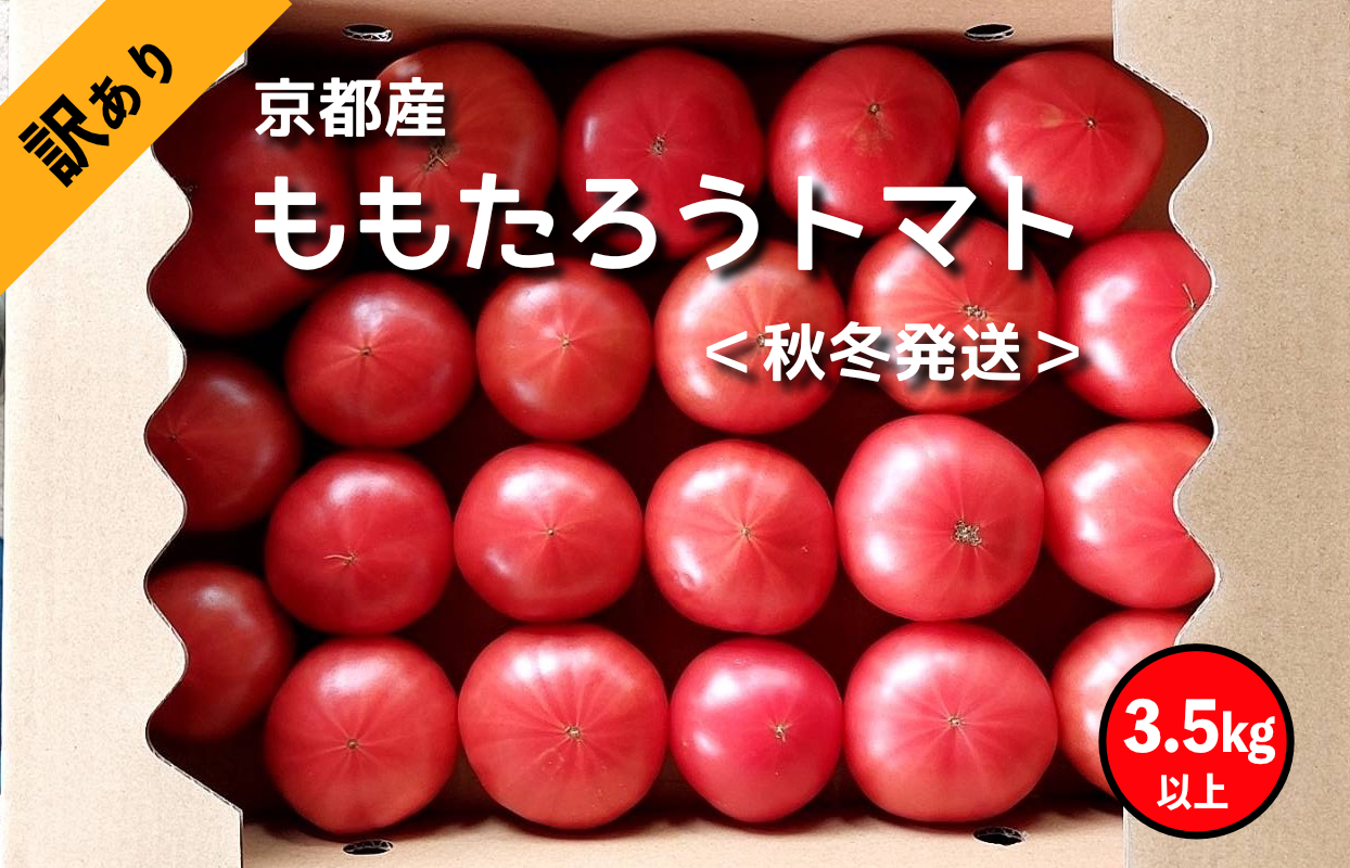 【高糖度】ももたろうトマト（秋冬発送）　訳あり　3.5キロ以上　不揃い